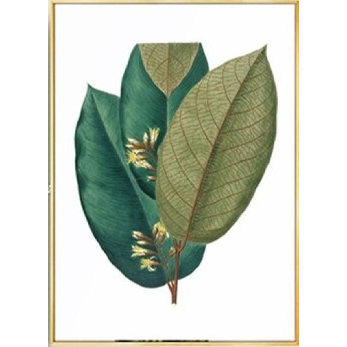 Cuadro Moderno Plantas Decorativo + Marco Madera Dorado - Imagen 2