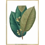 Cuadro Moderno Plantas Decorativo + Marco Madera Dorado - Imagen 2
