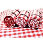 Mantel Para Picnic Gruesa Suave Transpirable Estilo Retro - Imagen 7