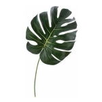 Hojas Artificiales Costilla Adán 70x30cm, Set X 10 Hojas - Imagen 3