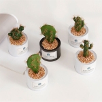 Planta Artificial Cactus Decorativo Con Maceta Metálica - Imagen 3