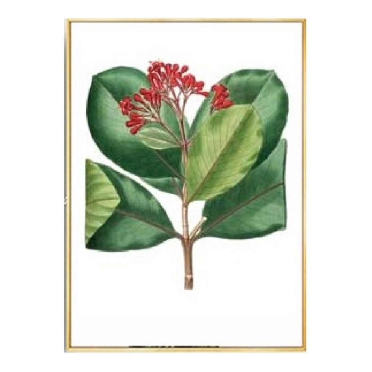 Cuadro Moderno Plantas Decorativo + Marco Madera Dorado - Imagen 9