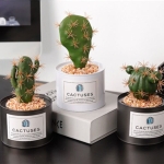 Planta Artificial Cactus Decorativo Con Maceta Metálica - Imagen 8