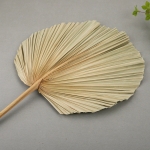 Hoja De Palma Seca Estilo Abanico Decoracion Moderna Natural - Imagen 5