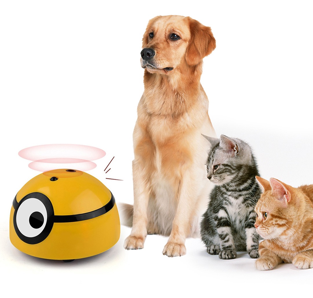 D_777576-MLU41082128768_032020-F.jpg Juguete Inteligente Para Gato Perros - Imagen 1