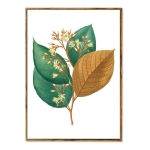 Set 3 Cuadros Decorativo + Marcos Madera Tripticos Plantas - Imagen 6