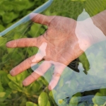 Lona Plastica Toldo Transparente Reforzada Con Ojales 3x2m - Imagen 3
