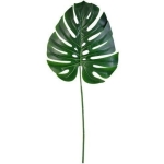 Hojas Artificiales Costilla Adán 70x30cm, Set X 10 Hojas - Imagen 4