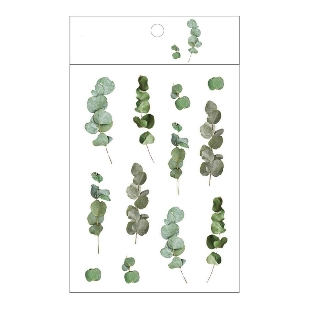 Plancha Stickers Pegotines Estilo Vintage Diseños Naturaleza - Imagen 7