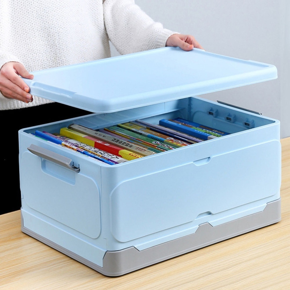 Caja De Almacenamiento Organizacion Con Tapa Y Tranca Chica - Imagen 22