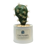 Planta Artificial Cactus Decorativo Con Maceta Metálica - Imagen 6