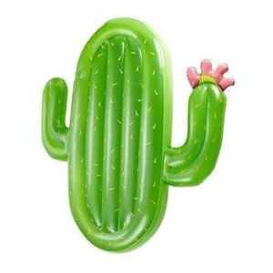 Colchonetas Inflables Gigantes Piscina Playa Flotador Cactus