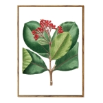 Set 3 Cuadros Decorativo + Marcos Madera Tripticos Plantas - Imagen 7