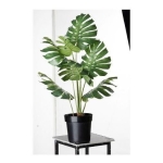 Hojas Artificiales Costilla Adán 60x22cm Flores, Set X 10 - Imagen 3