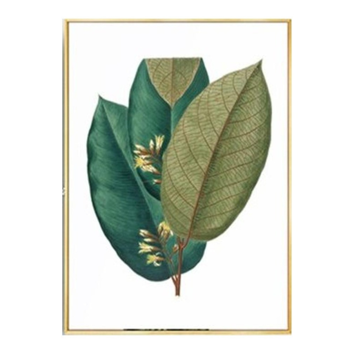 Cuadro Moderno Plantas Decorativo + Marco Madera Dorado - Imagen 1