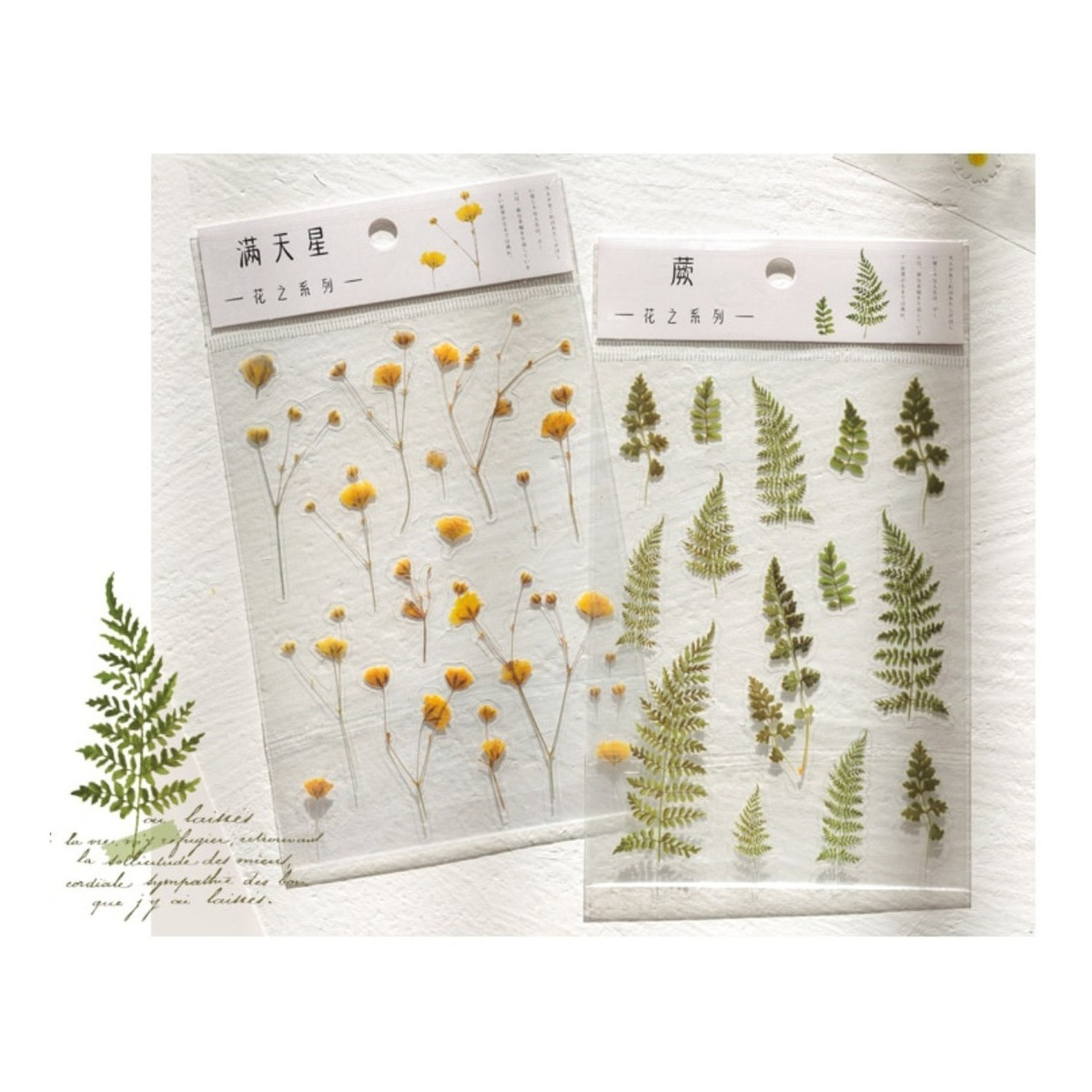 Plancha Stickers Pegotines Estilo Vintage Diseños Naturaleza - Imagen 10