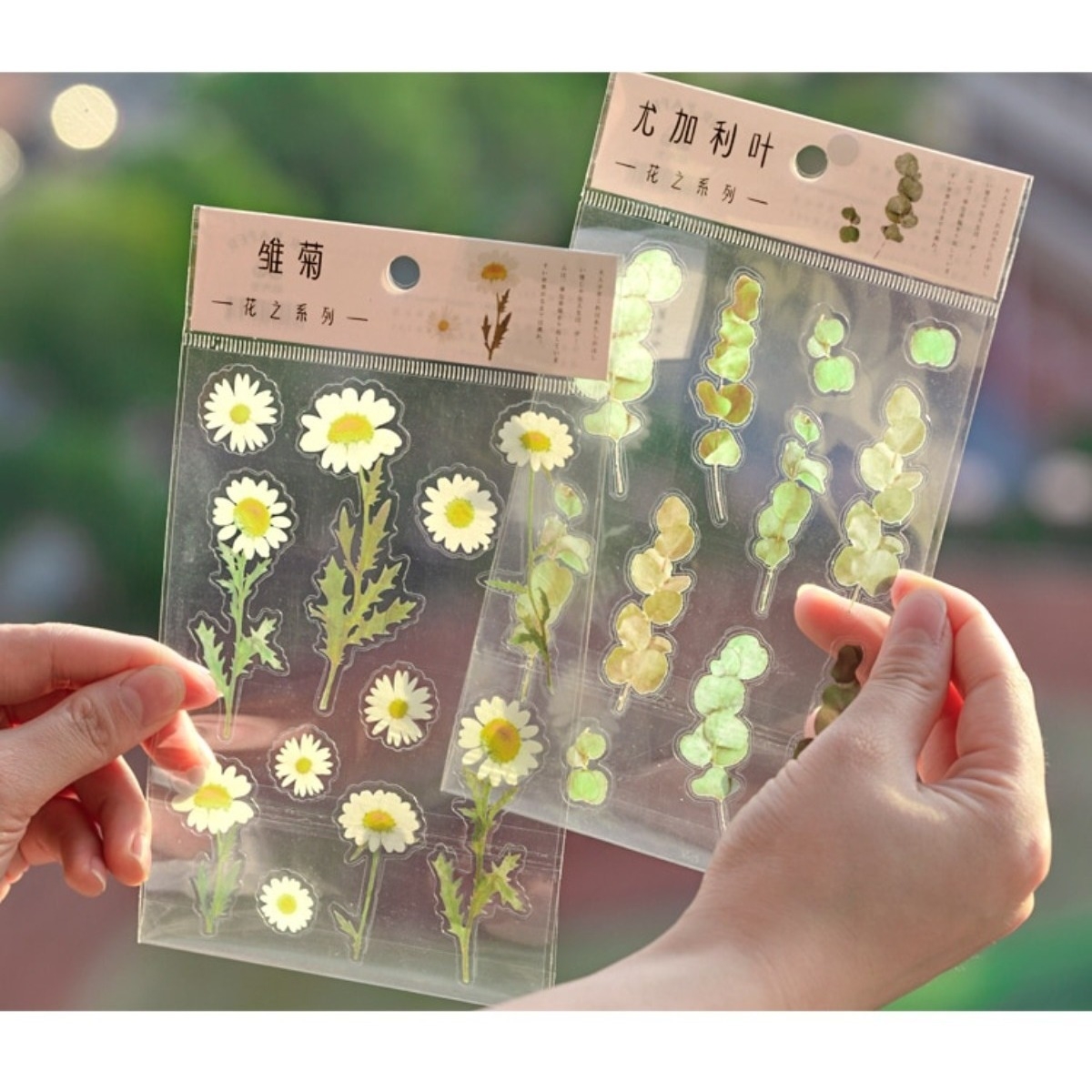 Plancha Stickers Pegotines Estilo Vintage Diseños Naturaleza - Imagen 3