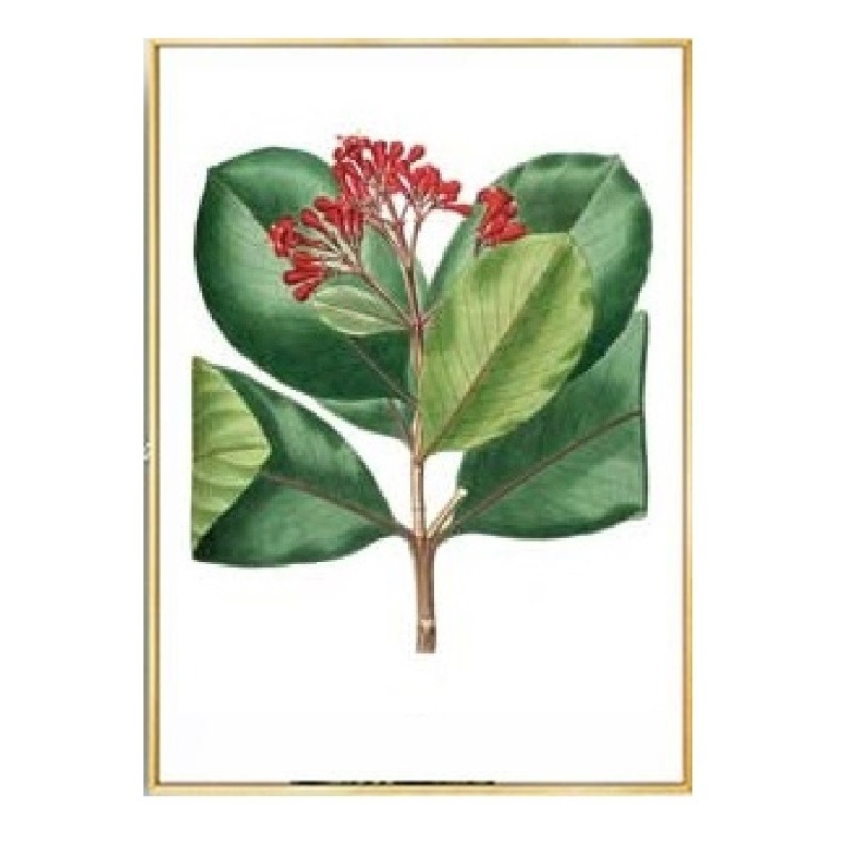 Cuadro Moderno Plantas Decorativo + Marco Madera Dorado - Imagen 10