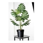 Hojas Artificiales Costilla Adán 70x30cm, Set X 10 Hojas - Imagen 2