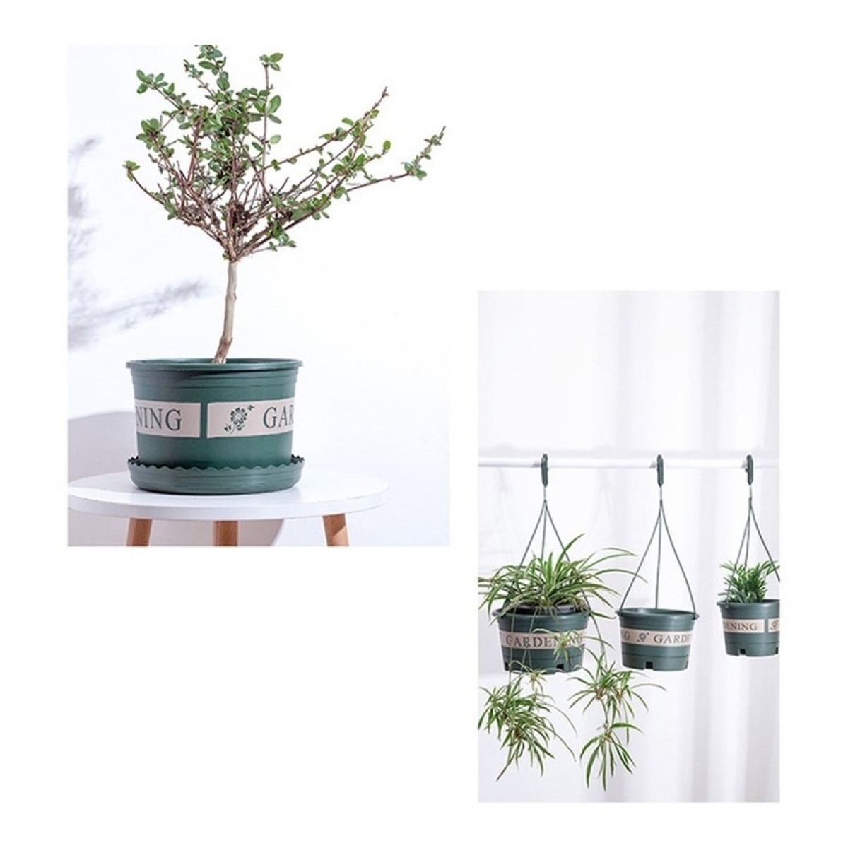 Maceta Redonda En Plastico Decorativa Jardineria 16cm - Imagen 5