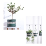Maceta Redonda En Plastico Decorativa Jardineria 16cm - Imagen 5