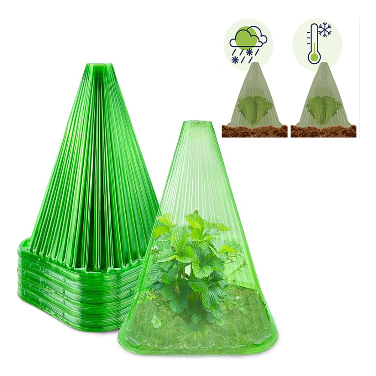 Set X10 Conos Protector De Plantas Accesorio De Jardineria - Imagen 2