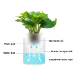 Maceta Para Hidroponía 15 Cm Plantas Jardín Decoración - Imagen 4