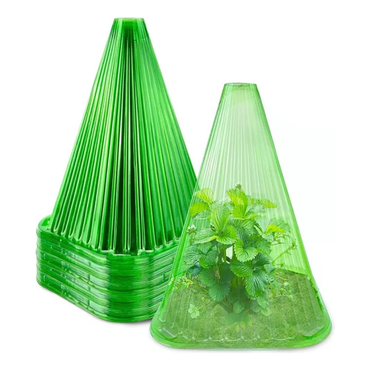 Set X10 Conos Protector De Plantas Accesorio De Jardineria - Imagen 1