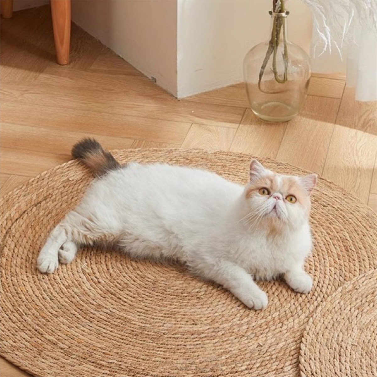 Alfombra Redonda De Rattan Chica Sala De Estar Dormitorio - Imagen 8