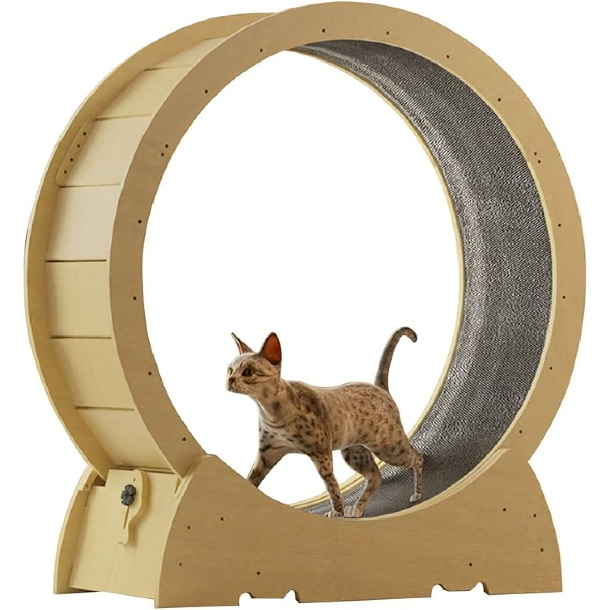 Rueda Giratoria Para Gatos Deporte Juguete - Imagen 1