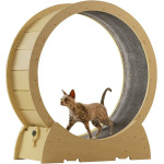 Rueda Giratoria Para Gatos Deporte Juguete
