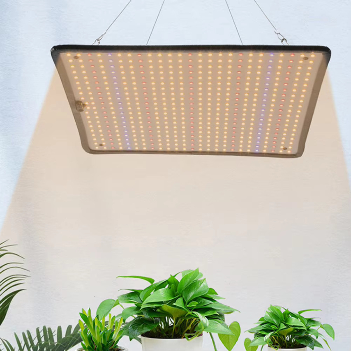 Luz Led De Cultivos Para Plantas De Interior Crecimiento - Imagen 4