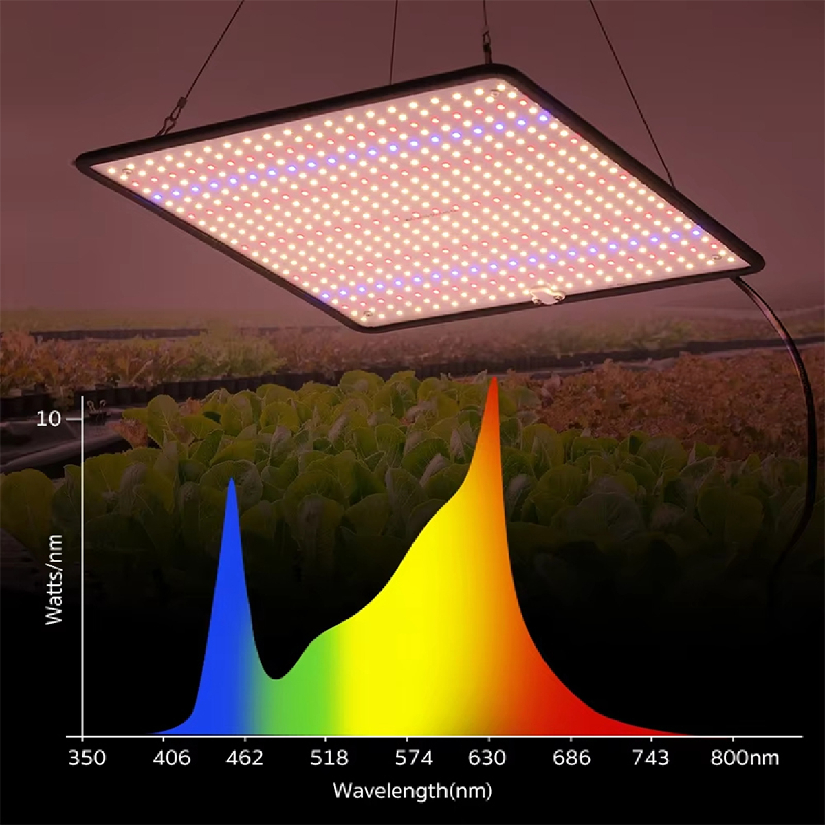 Luz Led De Cultivos Para Plantas De Interior Crecimiento - Imagen 7