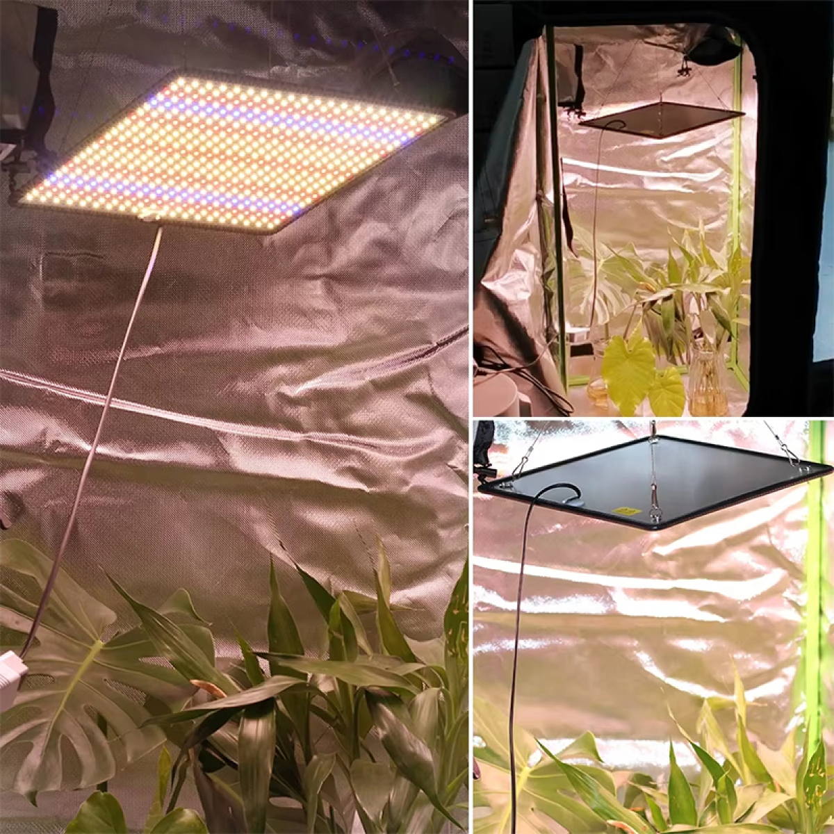 Luz Led De Cultivos Para Plantas De Interior Crecimiento - Imagen 5