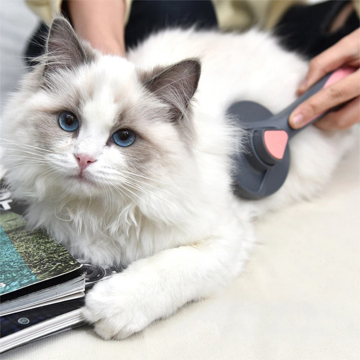 Cepillo Quita Pelo Para Mascotas Con Boton Limpia Facil - Imagen 22