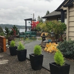 Maceta Cuadrada Para Exterior Texturada Plástico Jardin - Imagen 11