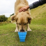 Vaso De Silicona Plegable Con Tapa Libre Bpa - Imagen 15