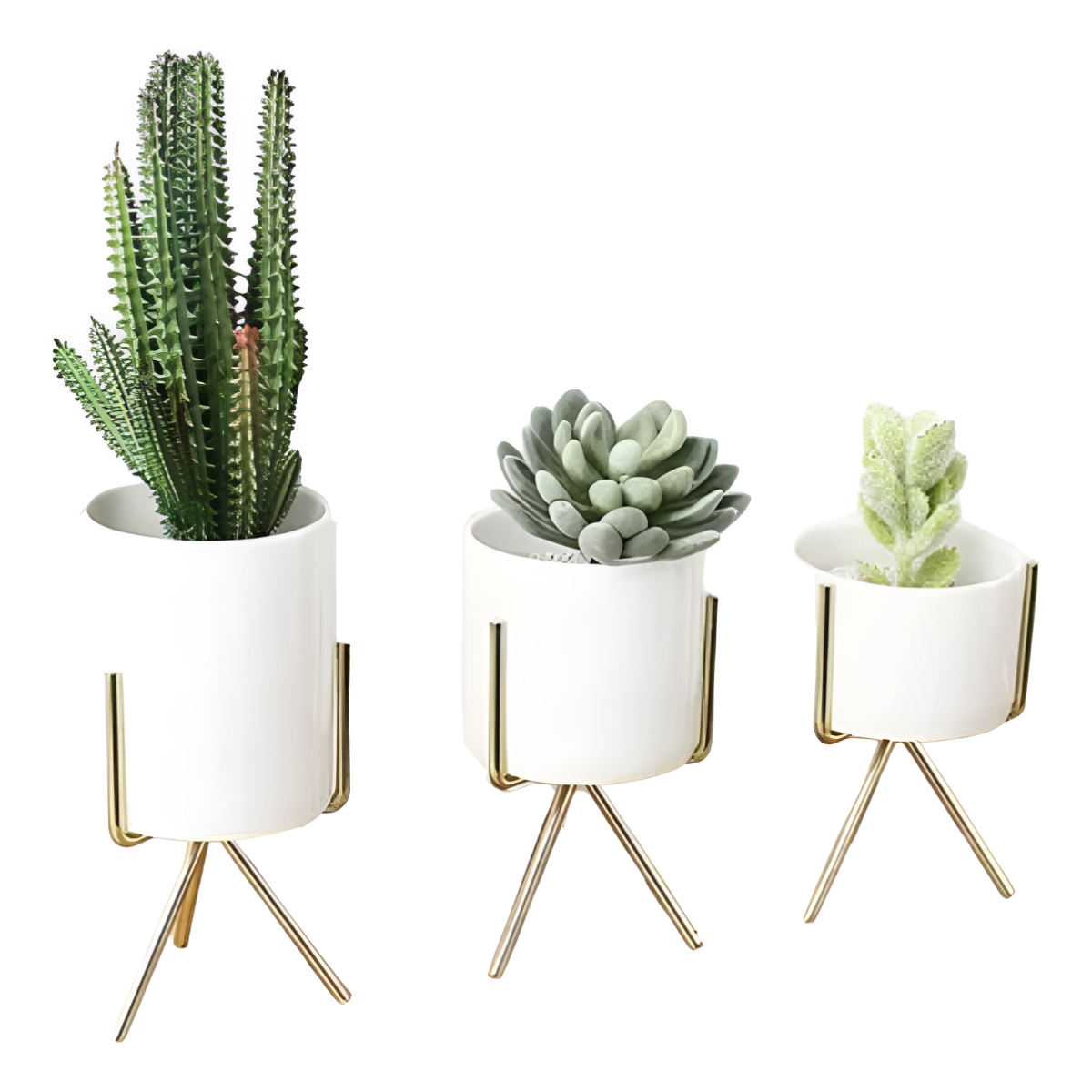 Macetas Mini Set 3 Nórdicas Decoración Cactus Bonsái - Imagen 1