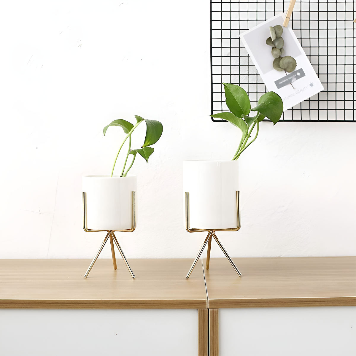 Macetas Mini Set 3 Nórdicas Decoración Cactus Bonsái - Imagen 4