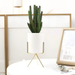 Macetas Mini Set 3 Nórdicas Decoración Cactus Bonsái - Imagen 3