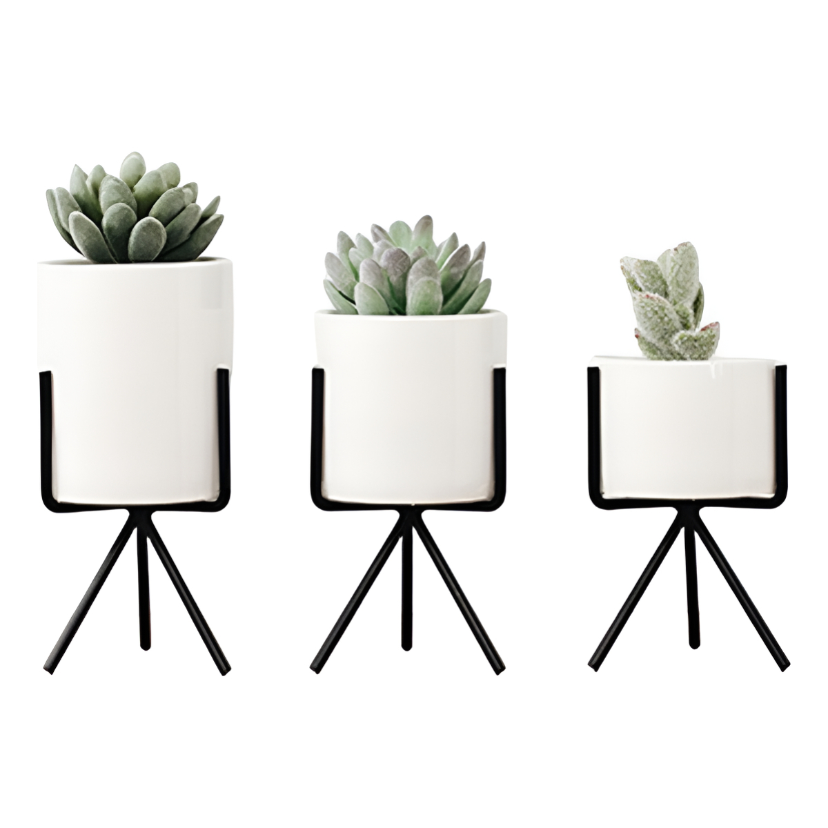 Set 3 Mini Macetas Nórdicas Decoración (cactus, Bonsai) - Imagen 1