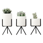 Set 3 Mini Macetas Nórdicas Decoración (cactus, Bonsai)