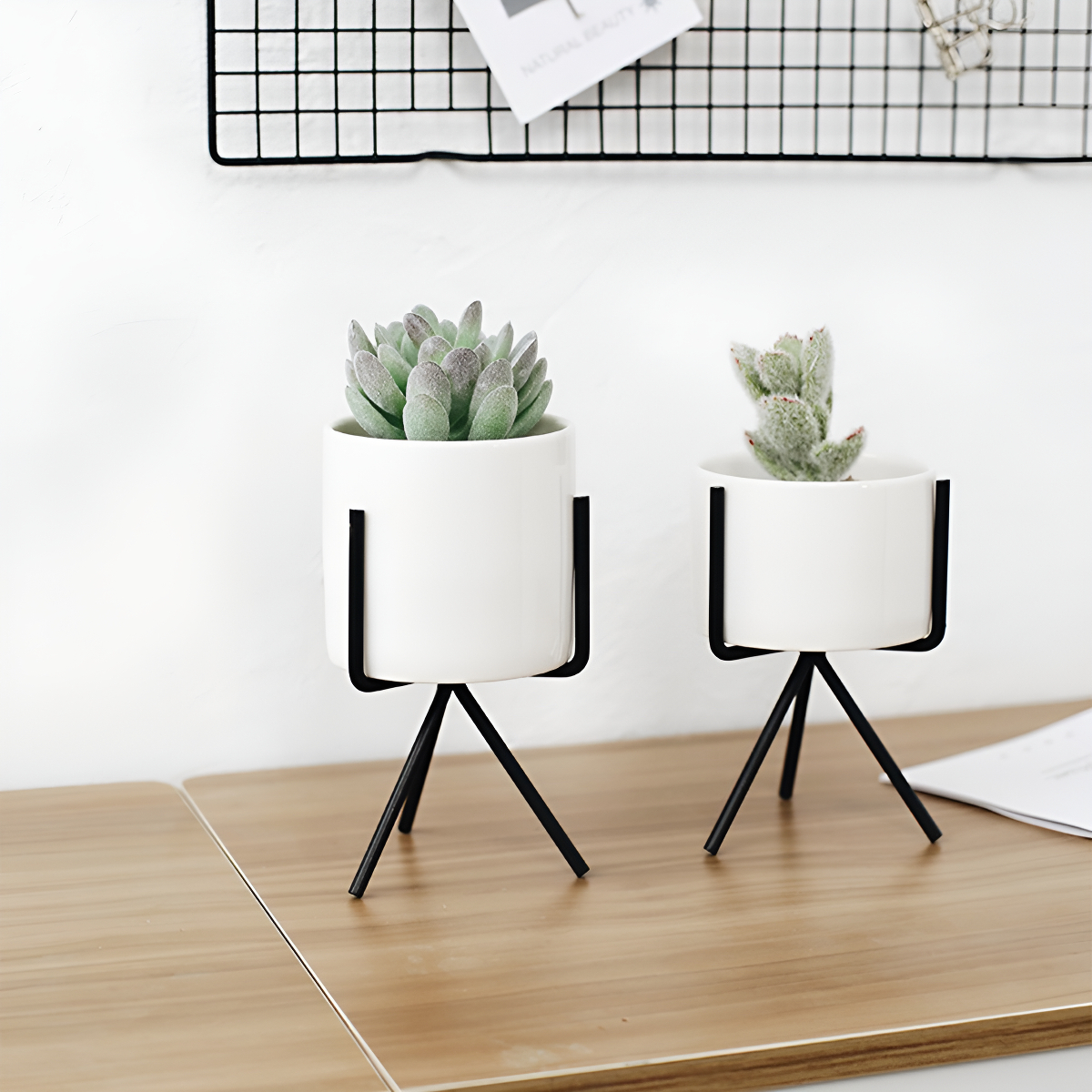 Set 3 Mini Macetas Nórdicas Decoración (cactus, Bonsai) - Imagen 4