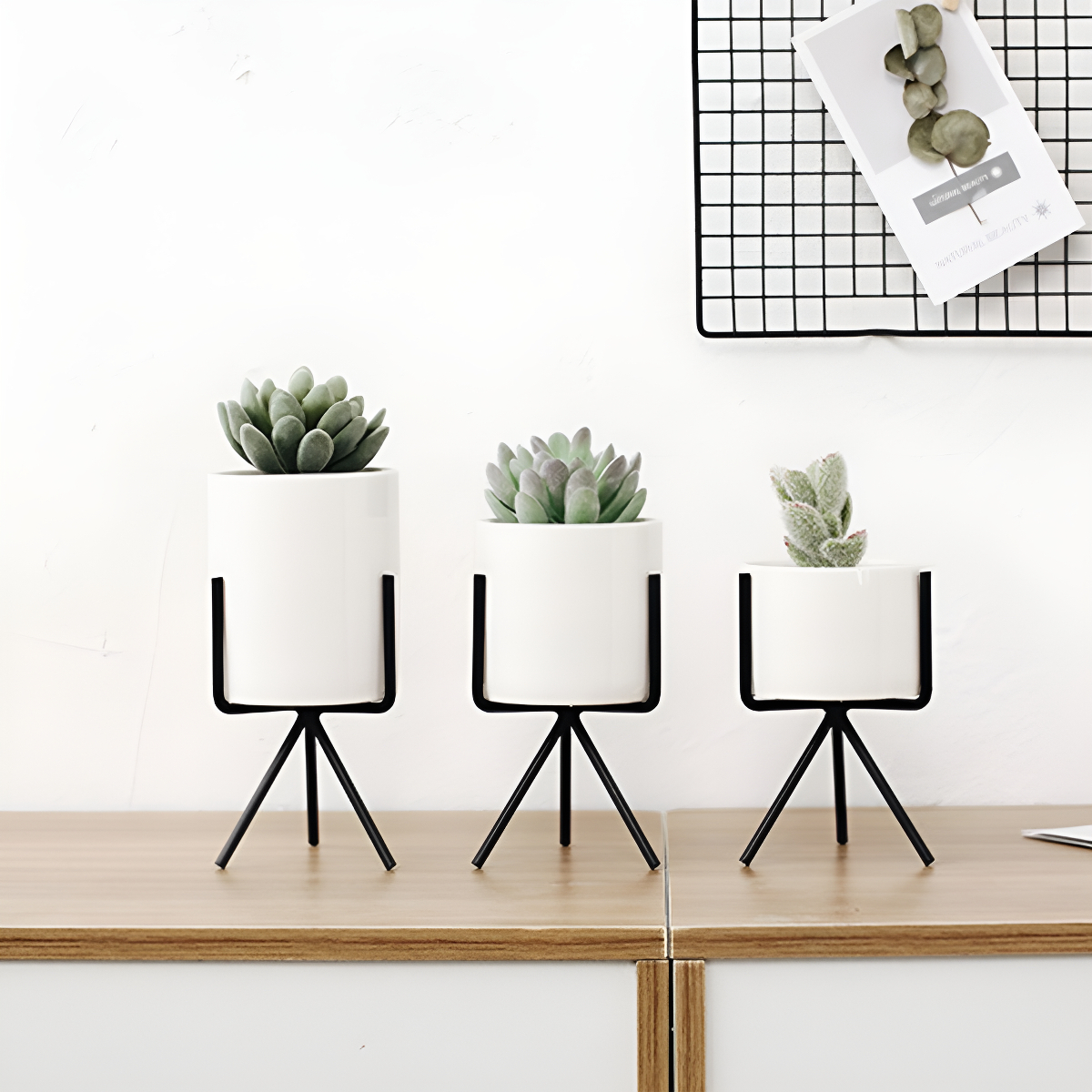 Set 3 Mini Macetas Nórdicas Decoración (cactus, Bonsai) - Imagen 2