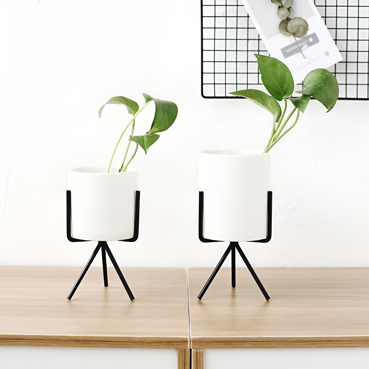 Set 3 Mini Macetas Nórdicas Decoración (cactus, Bonsai) - Imagen 5
