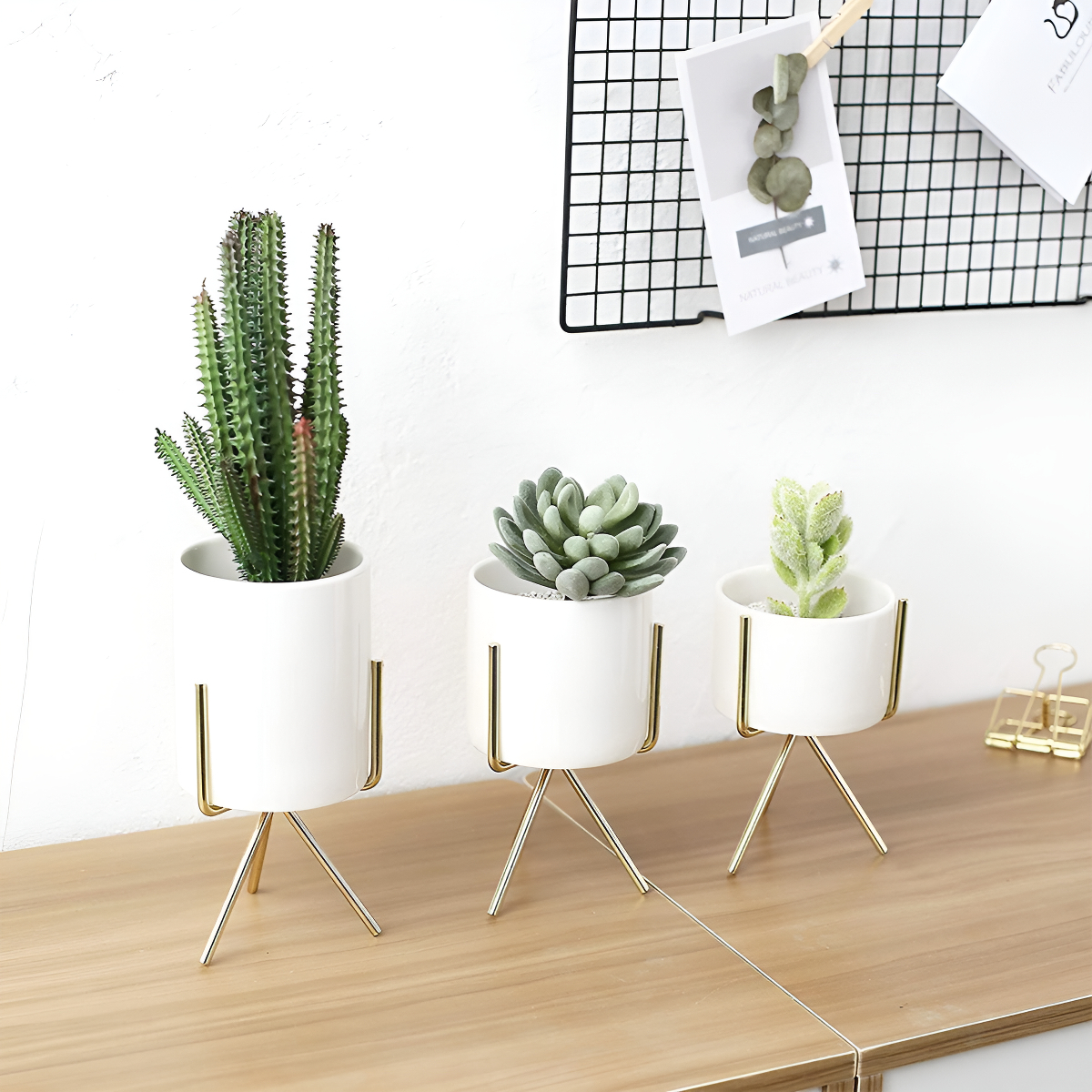 Macetas Mini Set 3 Nórdicas Decoración Cactus Bonsái - Imagen 2