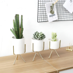 Macetas Mini Set 3 Nórdicas Decoración Cactus Bonsái - Imagen 2