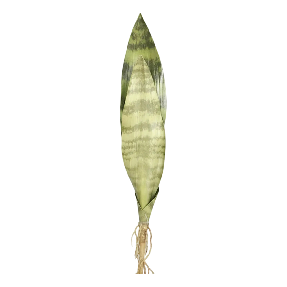 Planta Espada San Jorge Artificial 2 Hojas 40cm - Imagen 1
