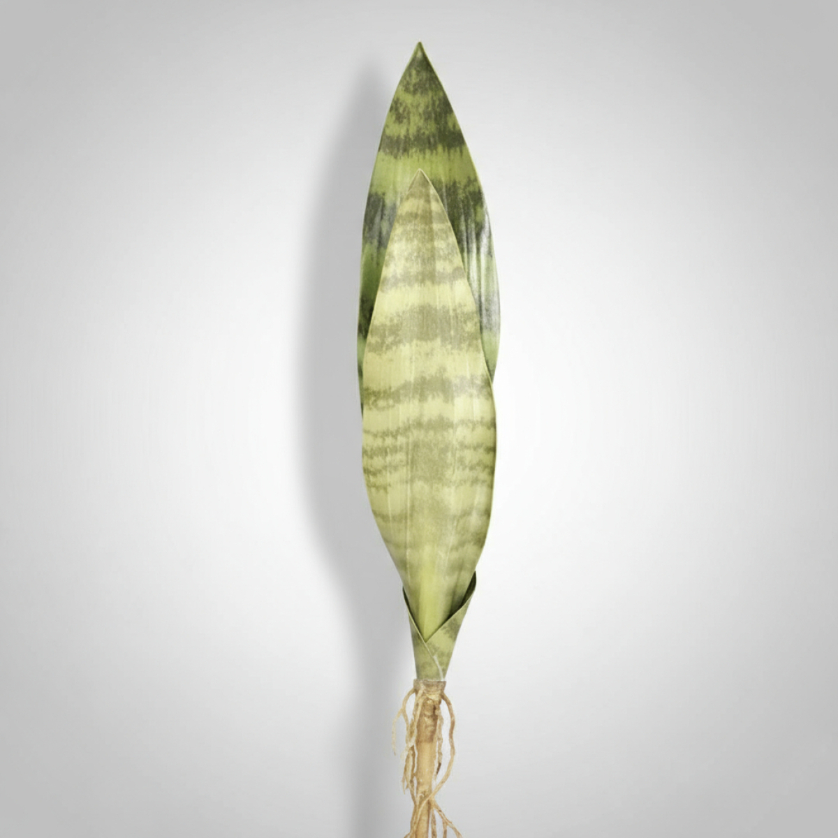 Planta Espada San Jorge Artificial 2 Hojas 40cm - Imagen 9