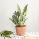 Planta Espada San Jorge Artificial 2 Hojas 40cm - Imagen 4